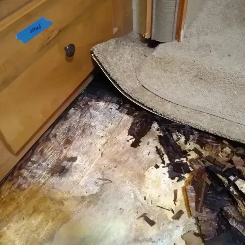 Wood Floor Water Damage in Mayflower, AR